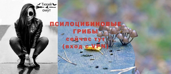 гашишное масло Инта