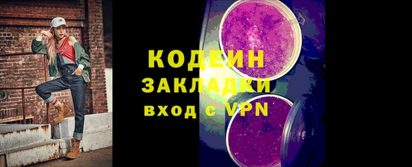 гашик Карпинск