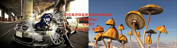 тгк Каменногорск
