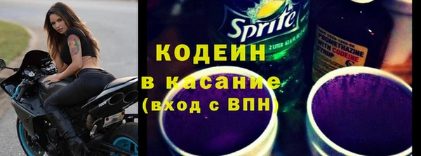 гашик Карпинск
