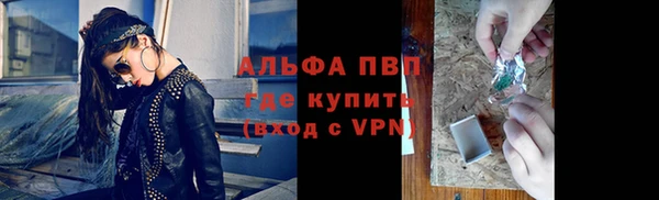 тгк Каменногорск