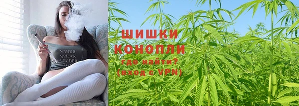 гашик Карпинск