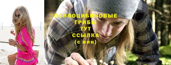 тгк Каменногорск