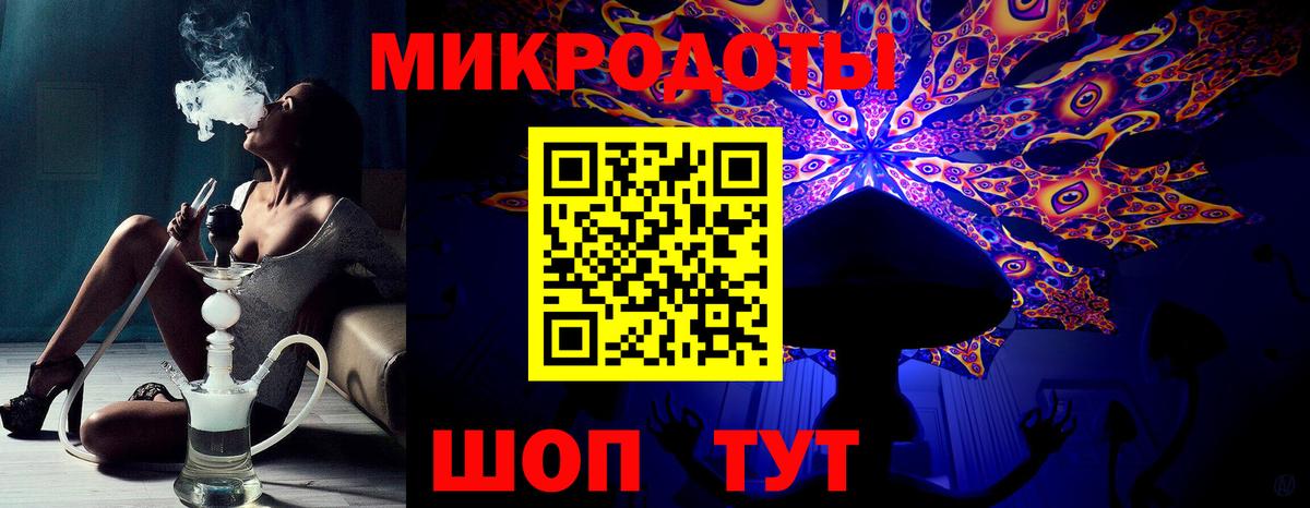 Псилоцибиновые грибы Psilocybe Краснотурьинск